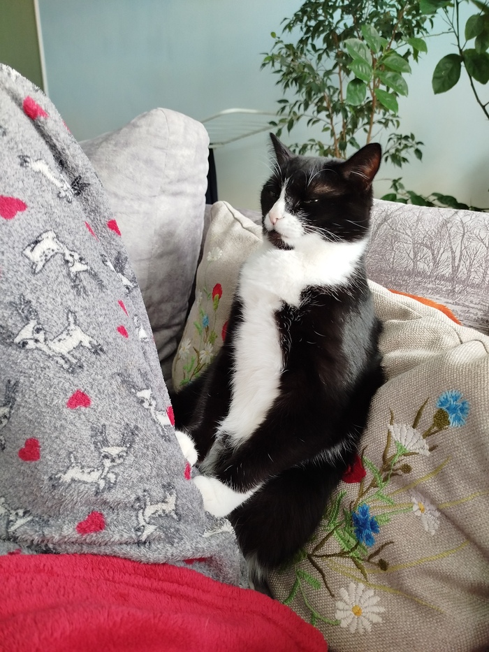 На меня сегодня обиделся Джайпур