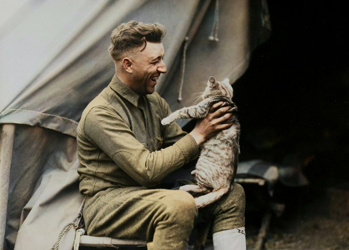 ��������: ����� ����