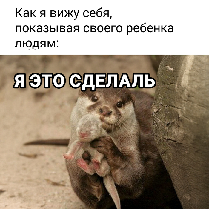    ,   , , ,   , 