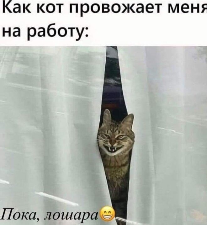      , , 