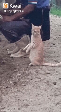   , , , 