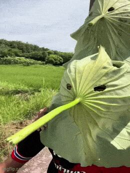   , , , 