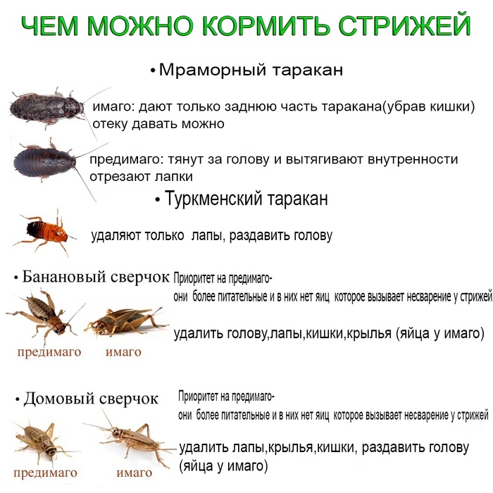 ������ ����� ��� ������������. �������� � ���������������� ������!