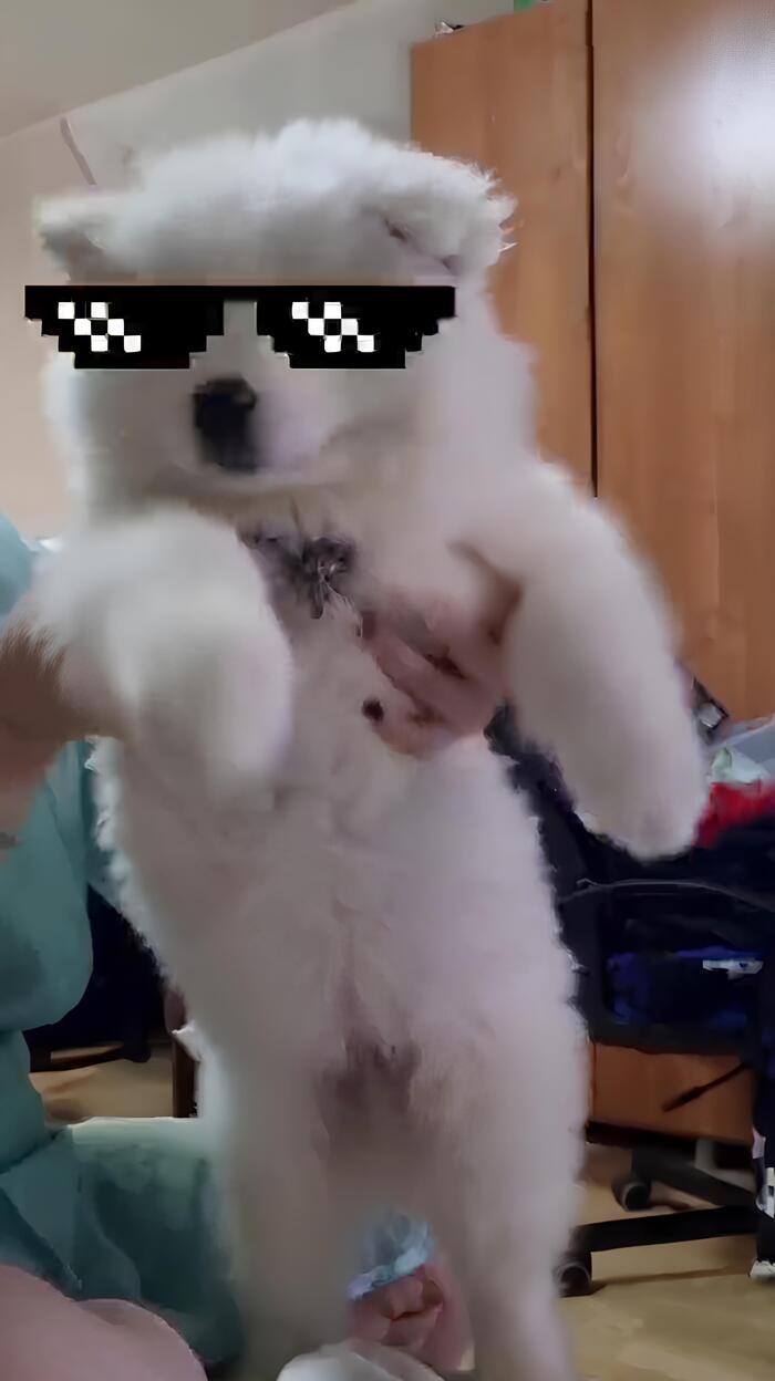   , ,  , , , , , , ,  ,  , , 