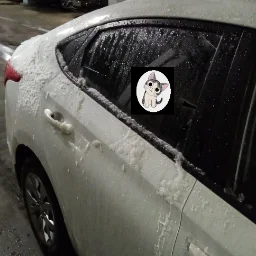 catINcar696