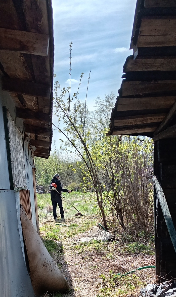 Это вчера. Болтается с триммером на даче. То ли Женя триммер тащит, то ли наоборот. Худой стал, слабый, больше 15 минут подряд работать не выдерживает, но отговорить или запретить невозможно.