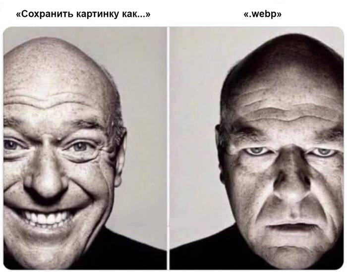 ?   , , Webp, , Telegram (), 