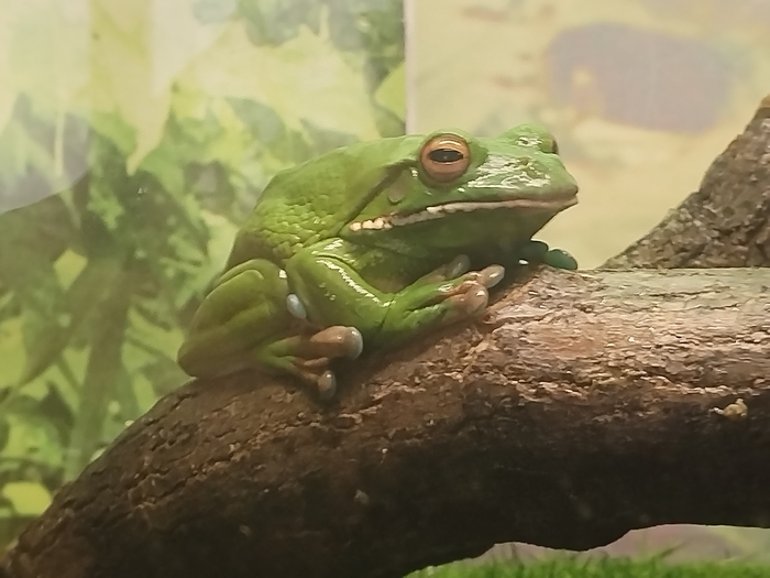     ,   ,  , , It Is Wednesday My Dudes, , 