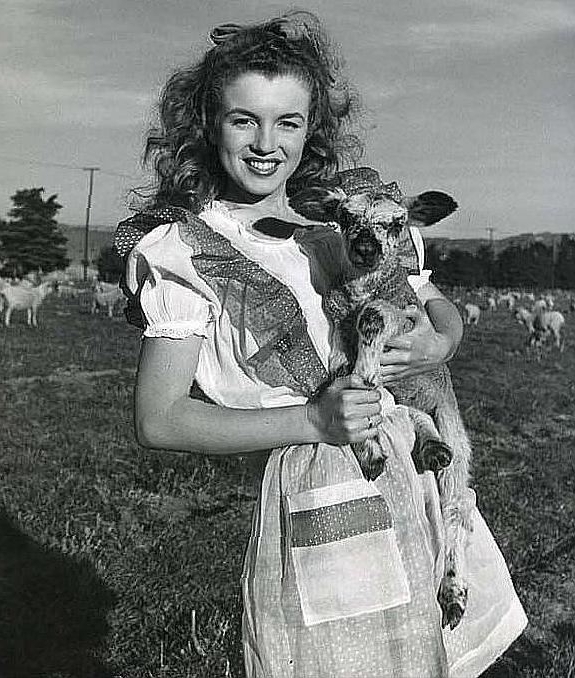  , 1945 .           ,  , - 