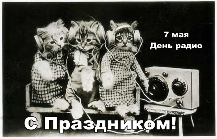 https://cs20.pikabu.ru/s/2025/05/07/05/ti5kxitr.webp