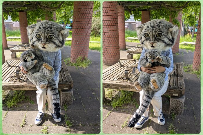 Я и мой песьдюк