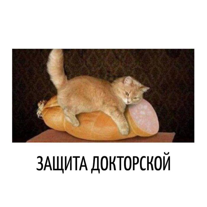   , ,  , ,  (), , ,  , 