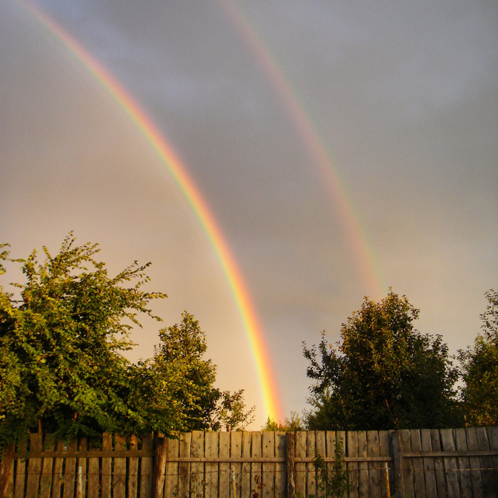 Rainbow , 