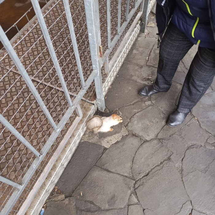 Ҹ��� ������