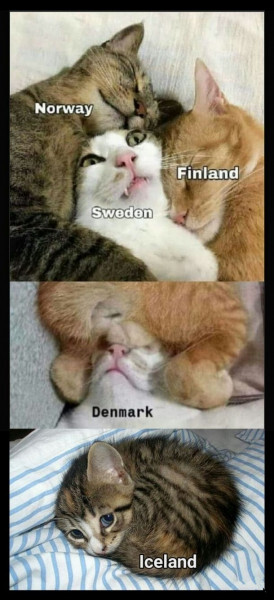   ,   , ,  , , , , , , , , , 