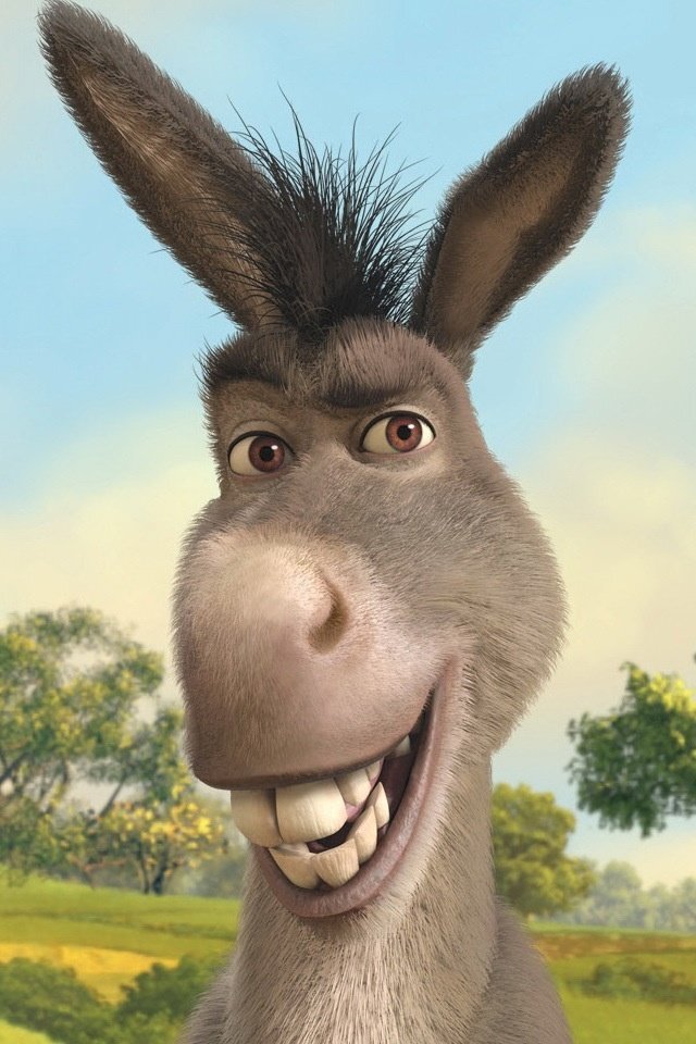   (World Donkey Day)   , , 