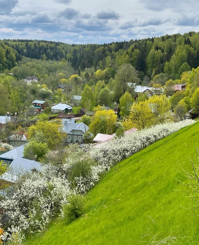Цветущий Плёс, Ивановская область