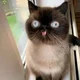����� ����� ������ ���� �����������
