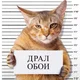 Аватар пользователя nekf2023