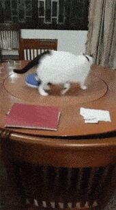   , , , 