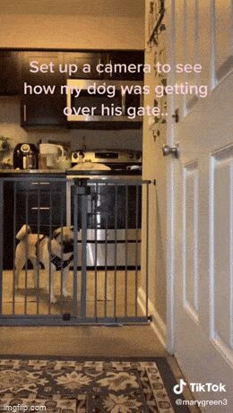   , , , 