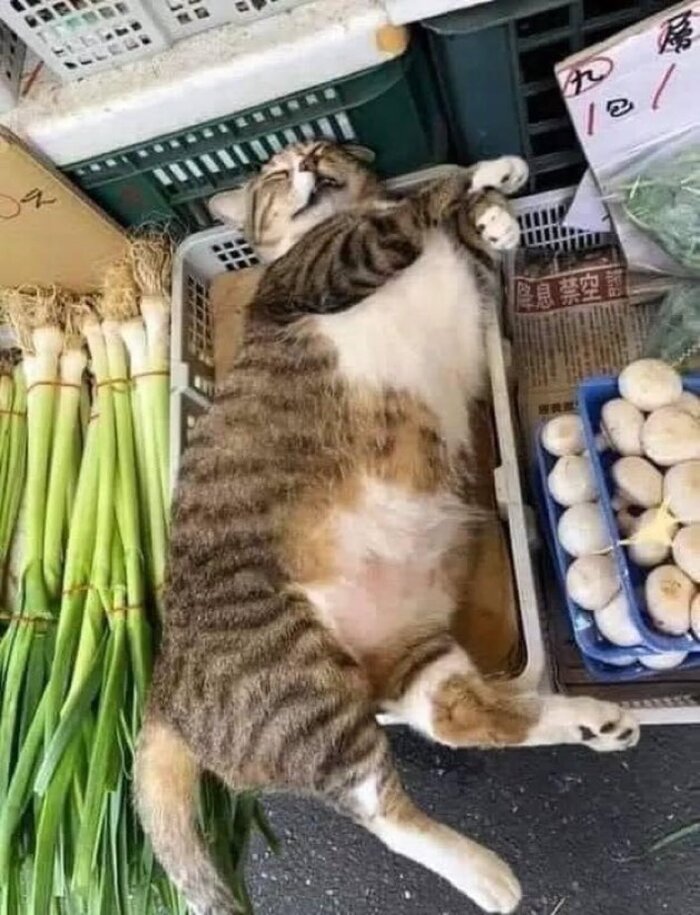    , ,  