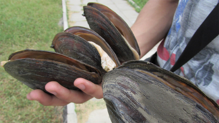 ,    .      !     ,           .