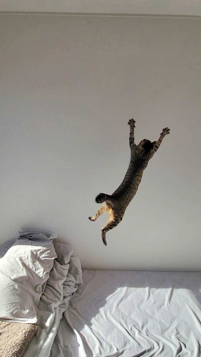       , ,  , , ,  (),  ,  , , , ,  , 