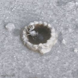    , , , 