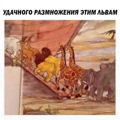 ���� �� ������ �������