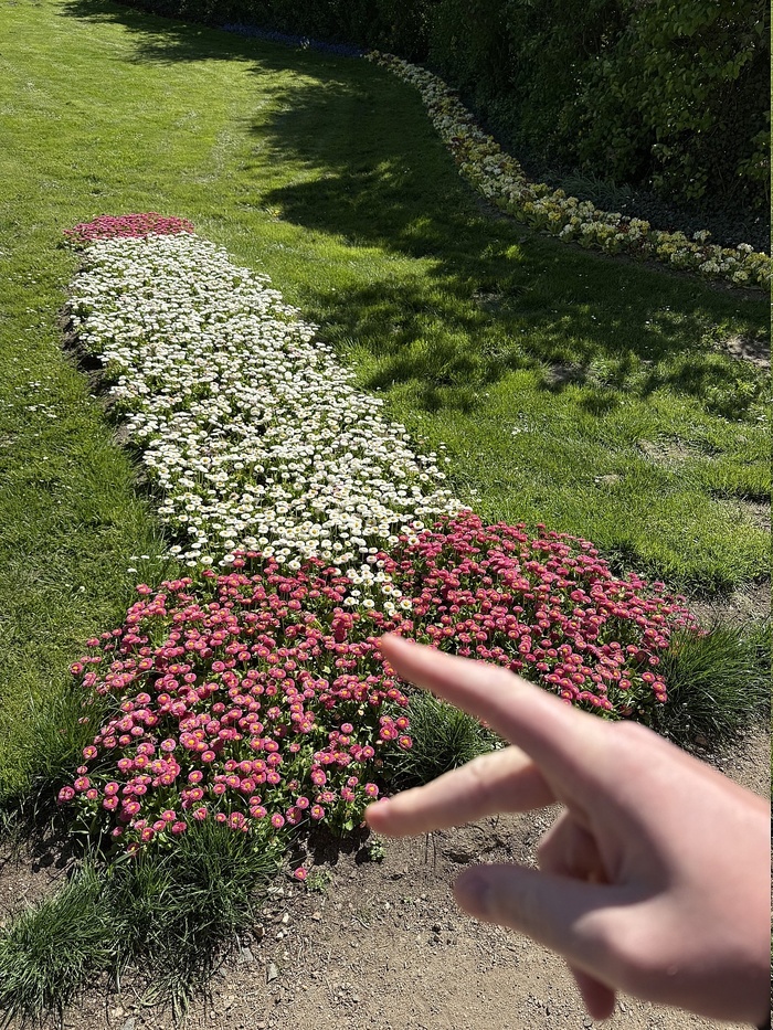  ! , , , 
