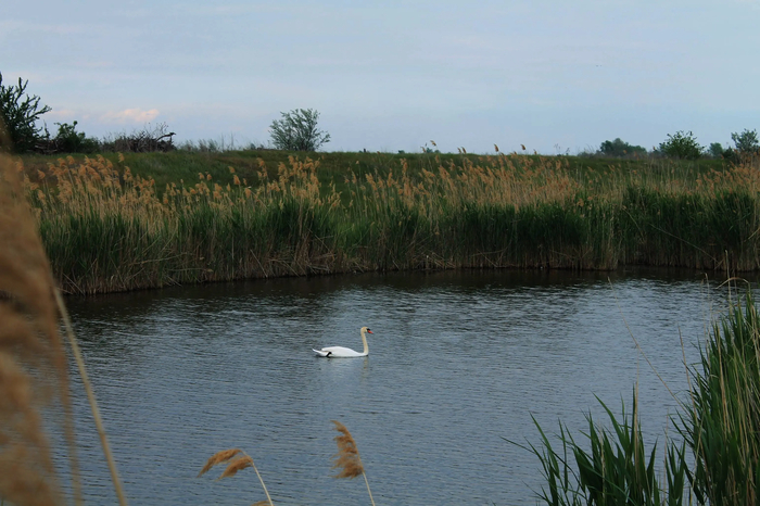 � ����� ������