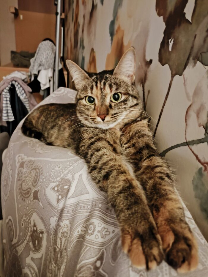           ,  ,  , , ,   