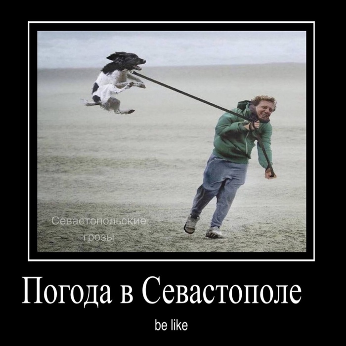    , , ,   , 