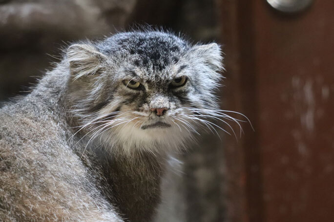 Это я очень рад окончанию выходных