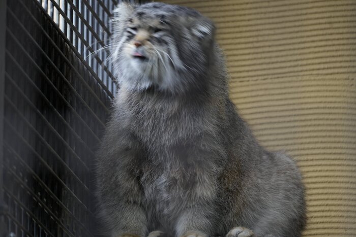 Бодрого утра...