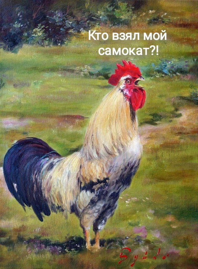 ...   , , 