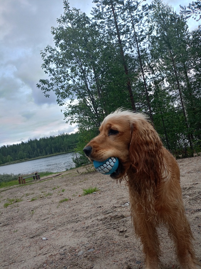 � ���� ������