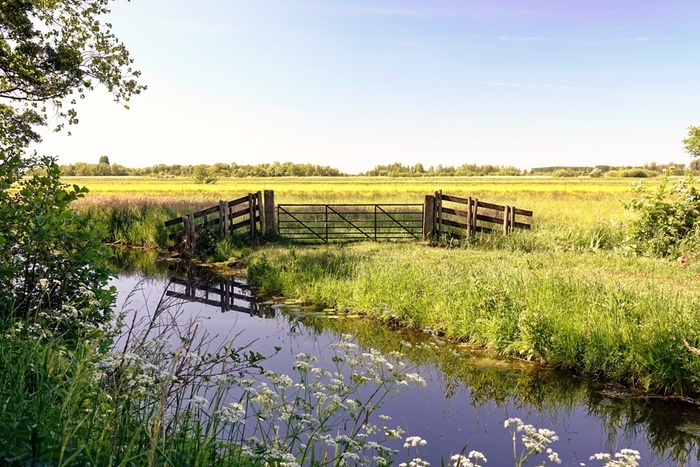 Летний день в мае