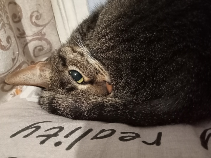 Снова эти ваши утры...