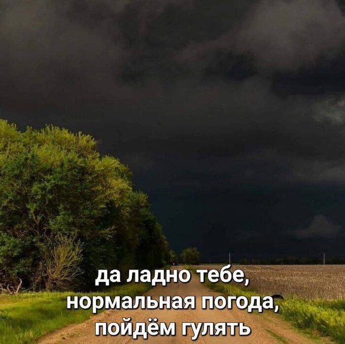 ���� �����, ���� ��������� � ���� ������� ������� �� ������� � ��� �� �������... ����� �����