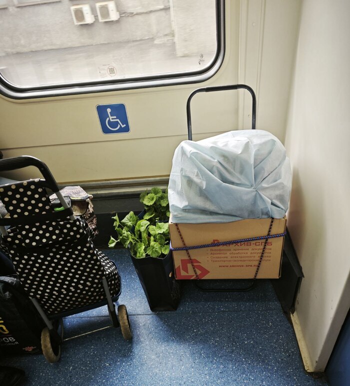 Месяц-май, помидоры встречай!