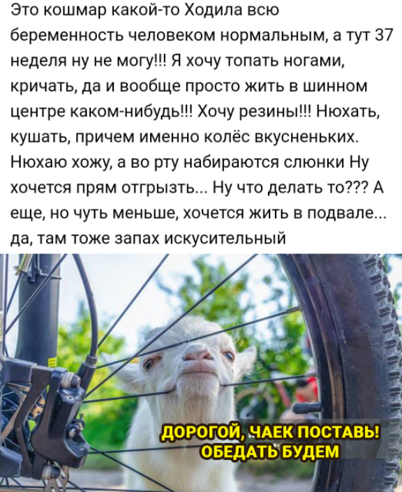   ,   , , 