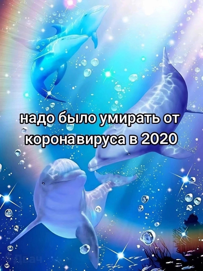  -     ,   ,   , , 