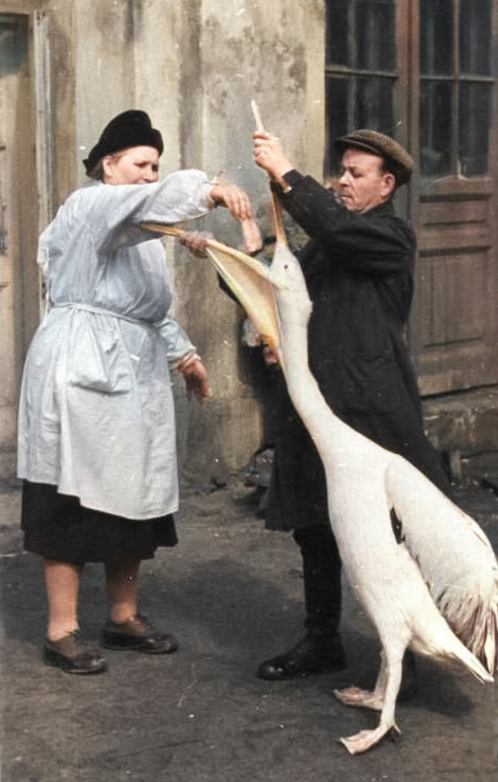 Из архива Веры Чаплиной