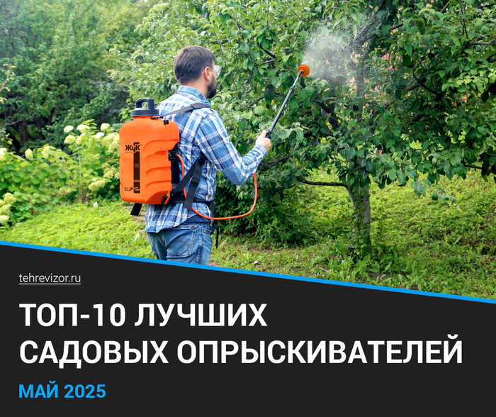    2025 :   - (-10) , , , , , , ,  , , 