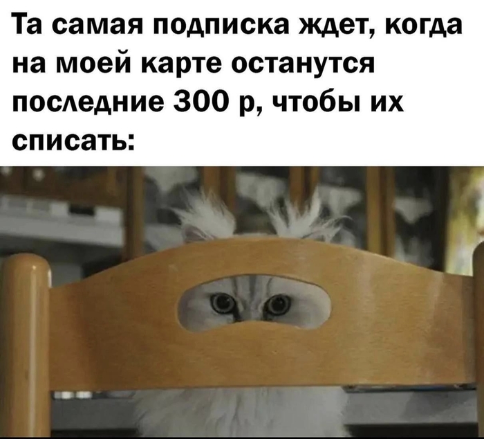  ... , , ,   , Telegram ()