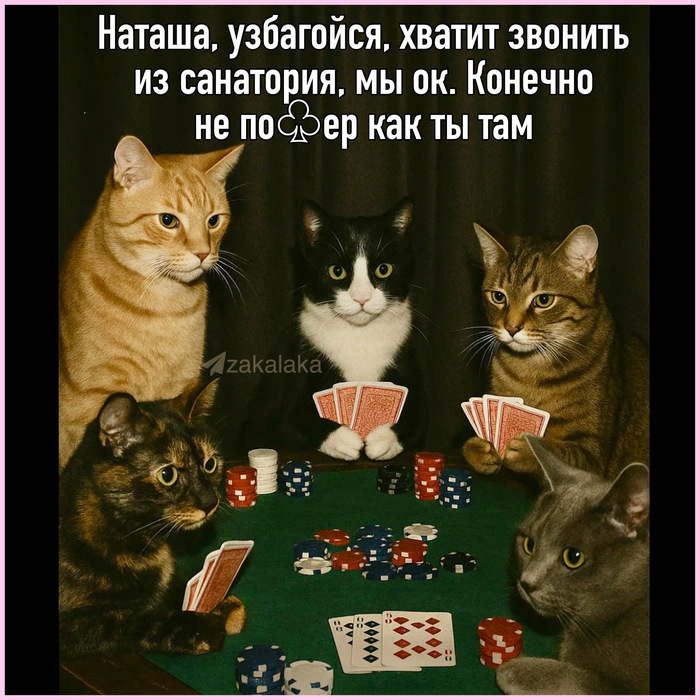   , ,  , , ,    , ,  (), , 