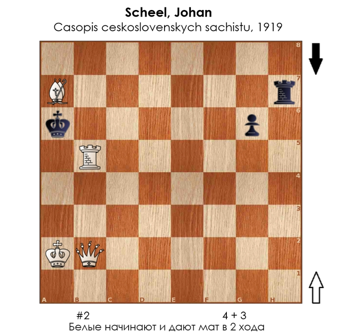  #305 ,  , , 