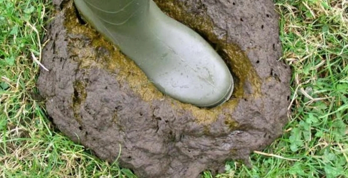    , , , , , , 